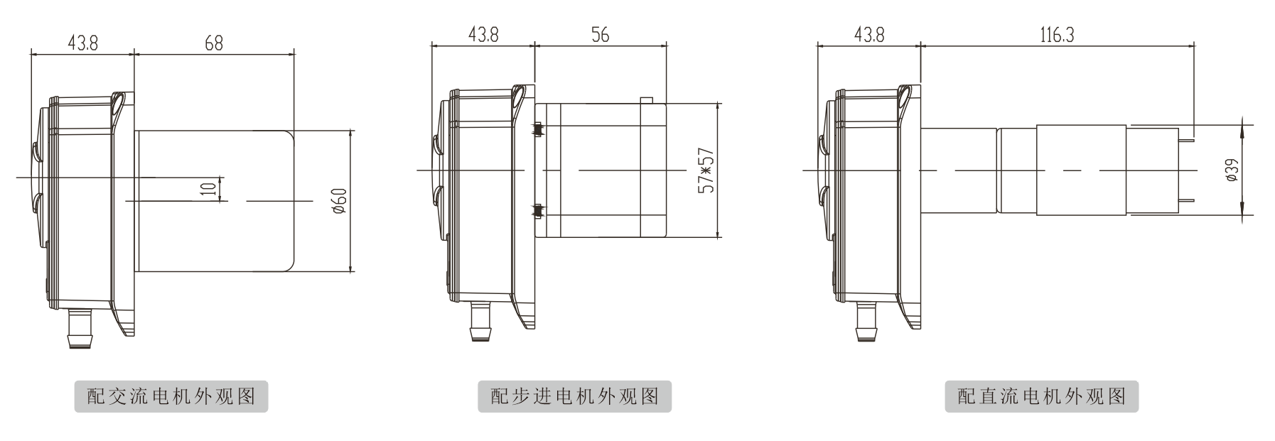 K25蜜桃成人免费视频