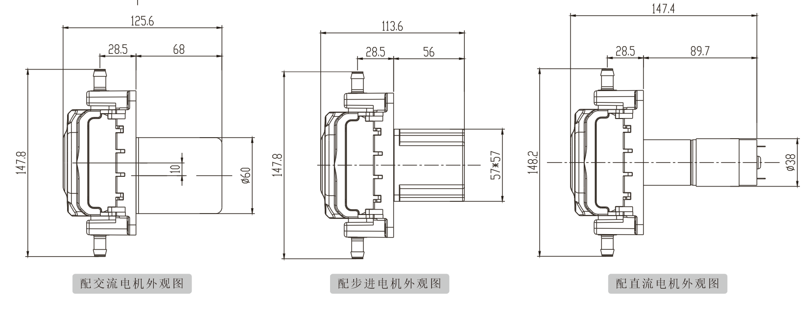 K335蜜桃成人免费视频